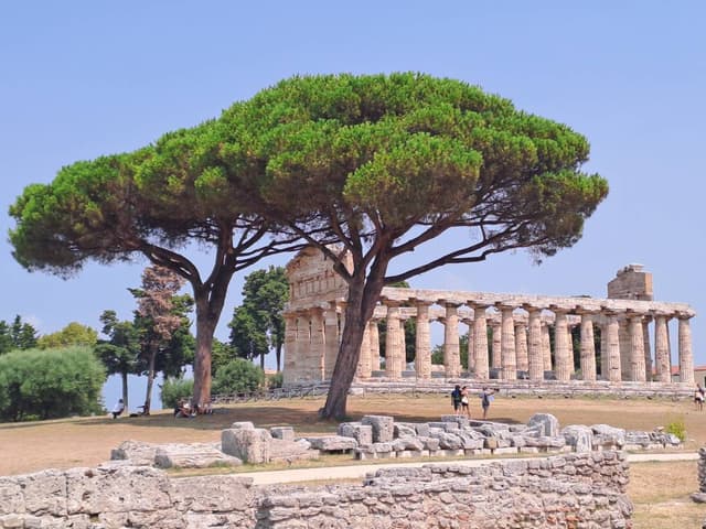 Zdjęcie 1 wykonane przez Robert G. (29.08.23)