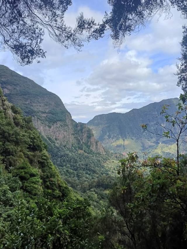 Zdjęcie 1 wykonane przez Matylda L. (2.11.25)