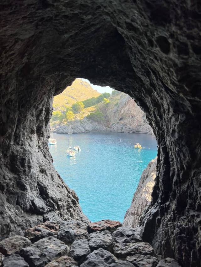 Fotografia 5 realizată de Stefan Alin N. (17.08.25)