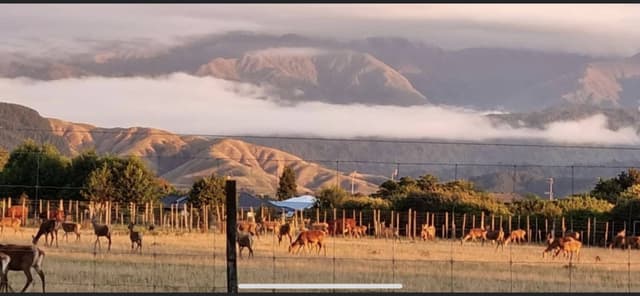 Photo by Deirdre C. (3/3/23)