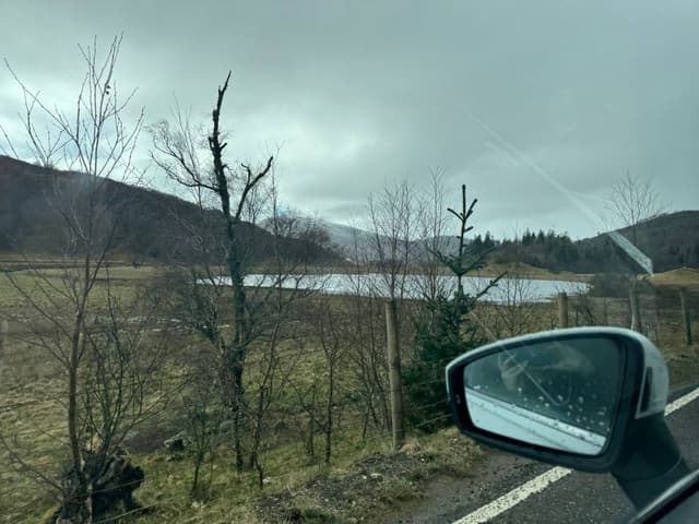 Photo 1 by Felix T. (4/3/24)