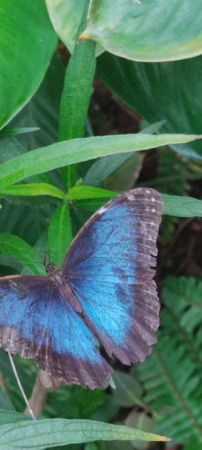 Foto 3 de Jose Manuel P. (20/11/25)