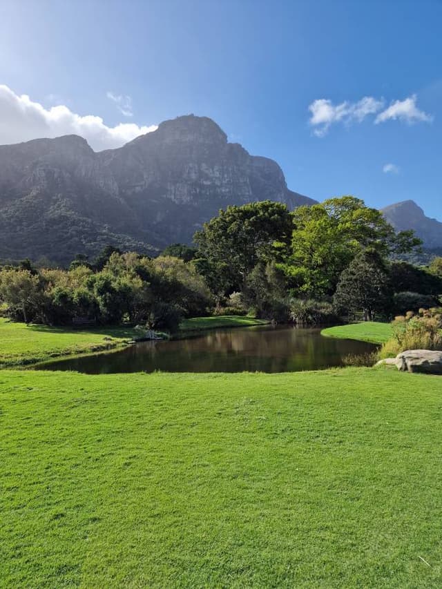 Photo 1 by Daniel U. about hiring a Toyota Corolla Cross at Cape Town Airport (01.10.24)