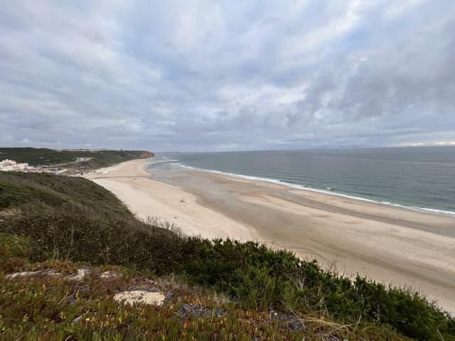 Foto 1 av Harry P. (25-07-21)