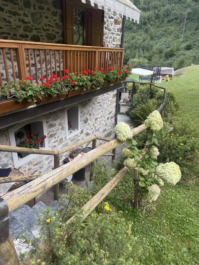 صورة 2 بواسطة Fayez A. (30/8/25)