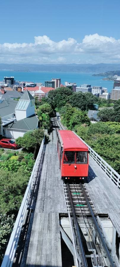 Photo 2 by S M Reazul A. (12/10/23)