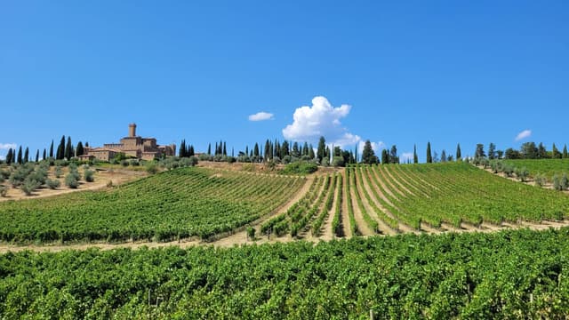 Photo 2 by Raymond C. about hiring a Volkswagen Polo at Florence Airport (11/09/24)