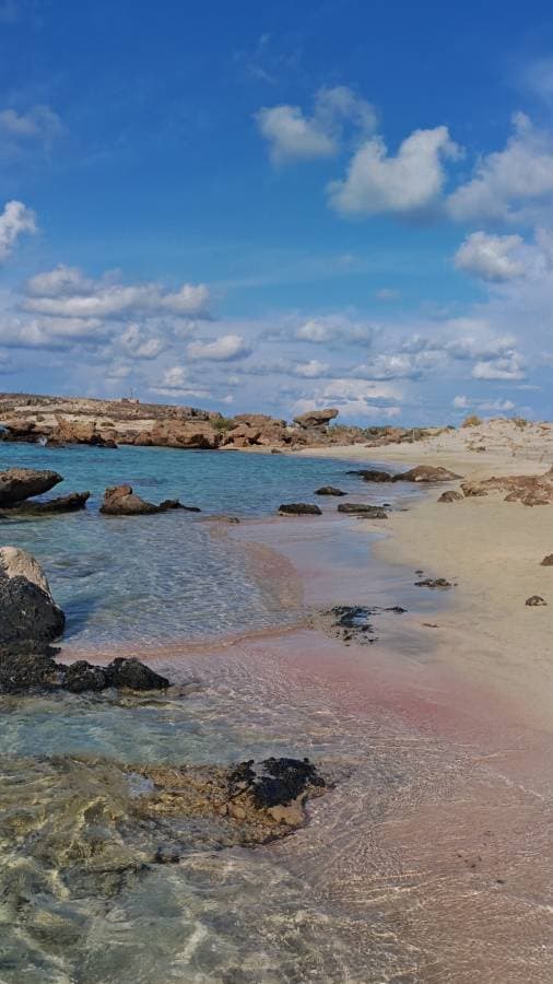 Photo 1 par MICKAEL G. (06/10/25)