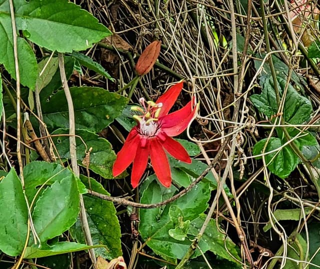 Photo by Burton W. about renting a Mitsubishi Outlander in Belize City (2/15/24)