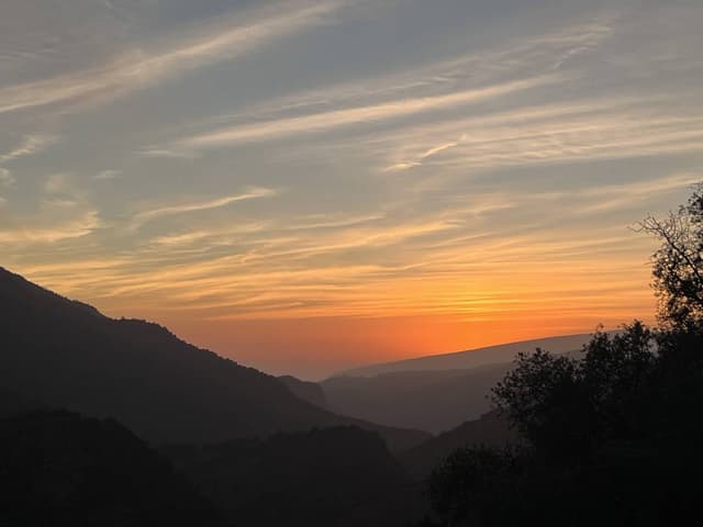 Photo 1 by Joanna K. (2/7/26)