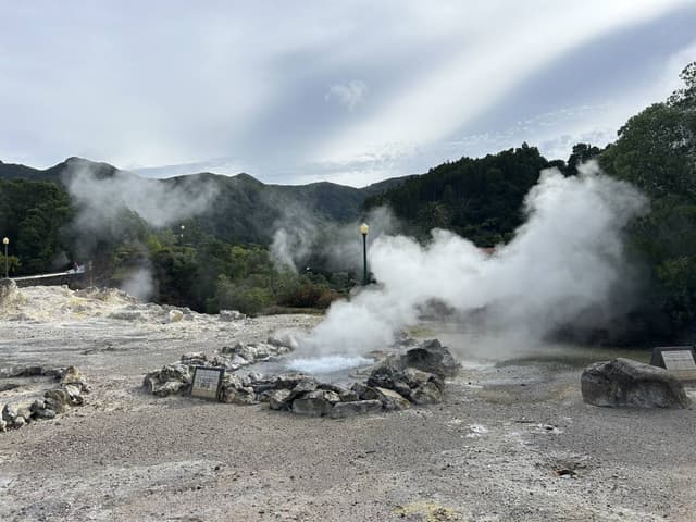 Photo 1 by Linda K. (10/25/25)