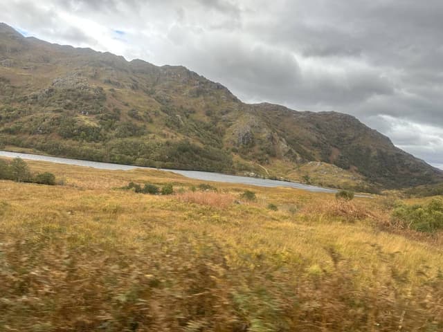 Photo 1 by Geraldine H. (11/12/23)