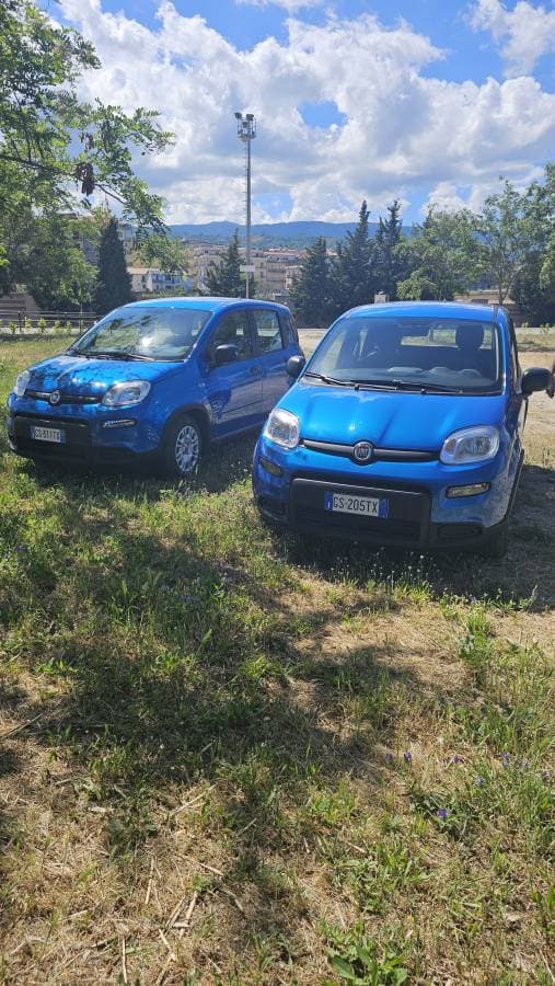 Foto 1 von Fischer M. (10.5.24)