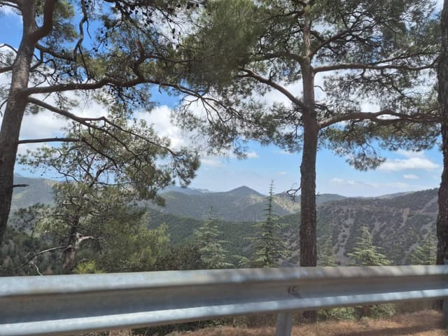 Photo 2 by Mark W. about renting a Suzuki Alto at Paphos Airport (7/14/24)