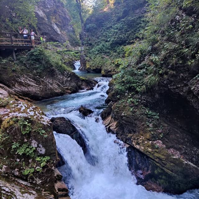 Foto de Orlando J. (12/08/22)