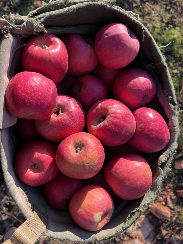 Photo 2 by Trevor T. about hiring a Hyundai i10 in Tel Aviv (17.12.24)