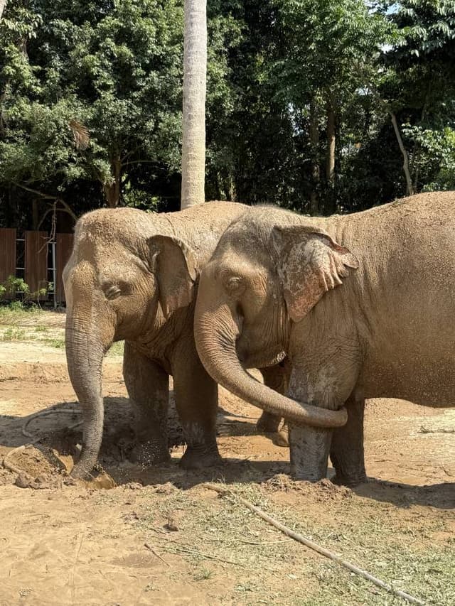 Photo 1 by Ricky B. (4/1/26)