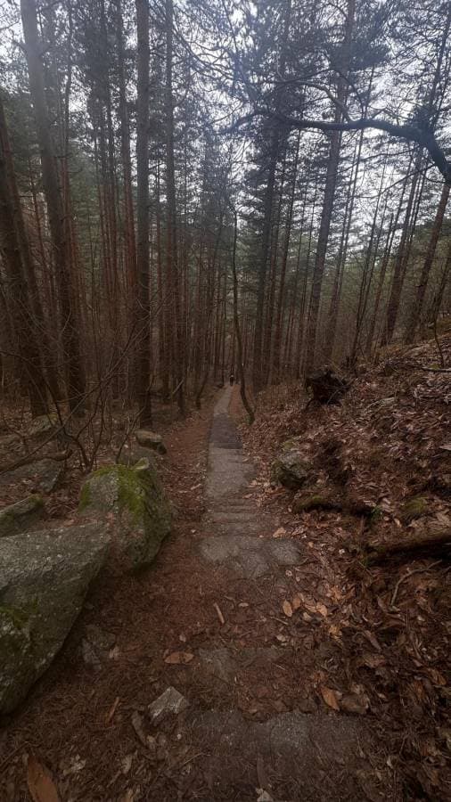 Фото 2 от Grigori G. об аренде Toyota C-HR в Софии (25.02.26)