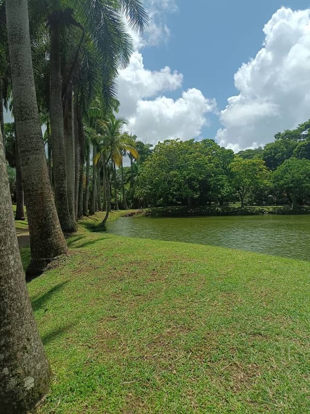 Photo 2 par Patrick J. (18/08/24)