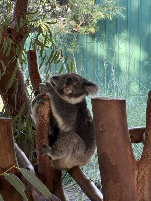 Photo 1 by Jaka G. about renting a Kia Stonic in Australia (5/20/25)