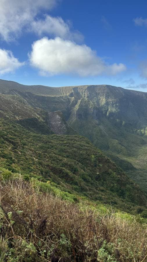 Photo 2 by Jorge B. (11/24/25)