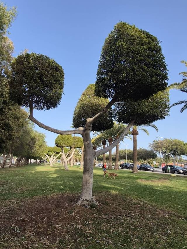 Foto 2 von Angelika P. (4.4.26)