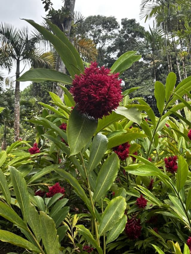 Photo 1 par Cecilia T. (02/09/25)