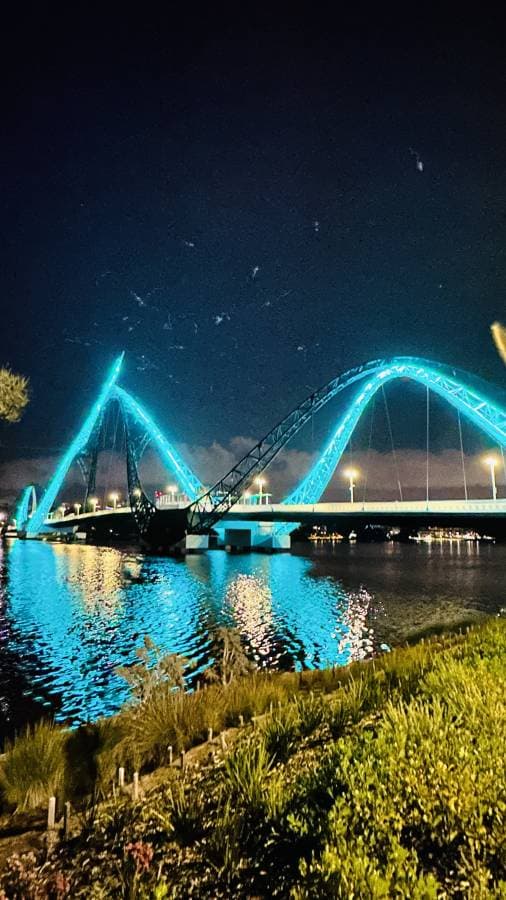 Photo 1 by Soma S. (10/31/25)