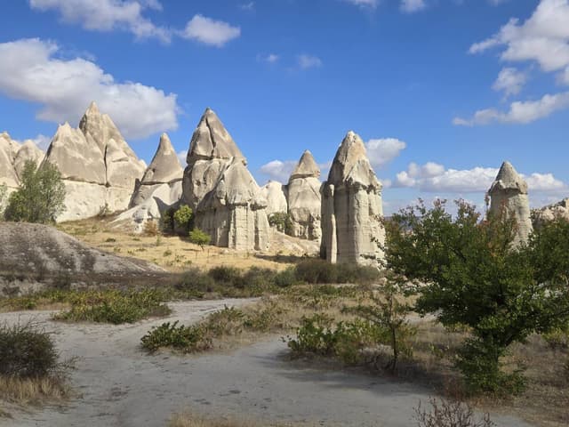 Photo 1 by LESLIE V. (10/11/25)