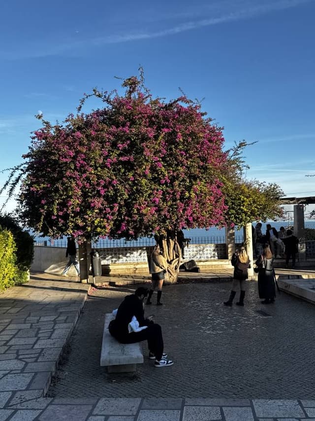 Photo 1 by Eileen B. (12/7/25)