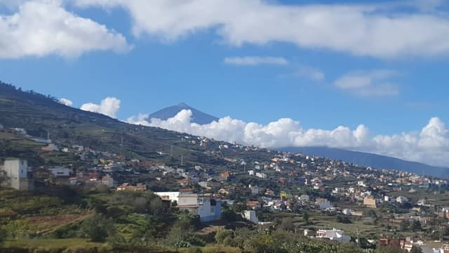 Photo 1 by Spencer W. about hiring a Renault Megane in Tenerife (27.01.24)