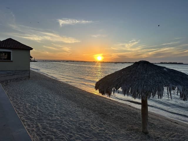 Photo 1 by Lucas M. (4/4/26)