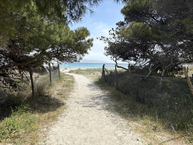 Foto 1 van Remigio G. over het huren van een Ford Kuga op Sardinië (12-5-25)