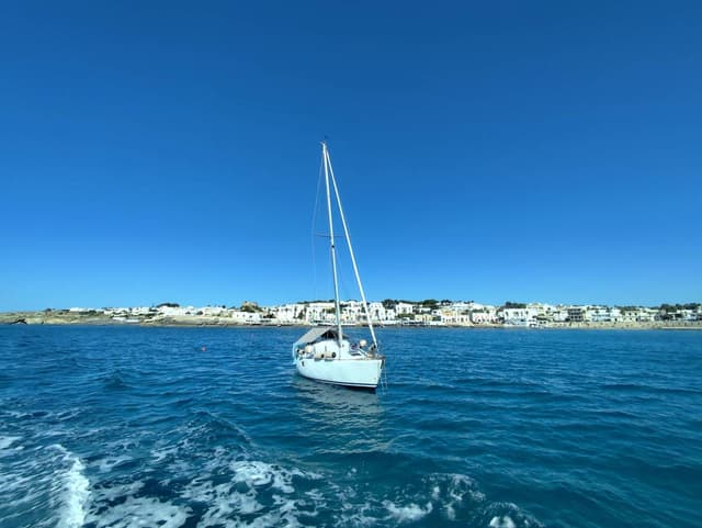 Foto 1 di GIORGIO M. sul noleggio di una Fiat Panda a Brindisi (07/09/25)