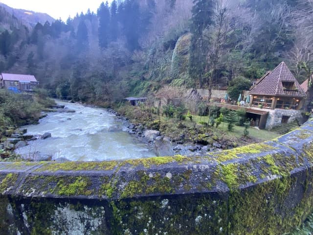 Photo 1 by Mustafa G. (1/8/24)