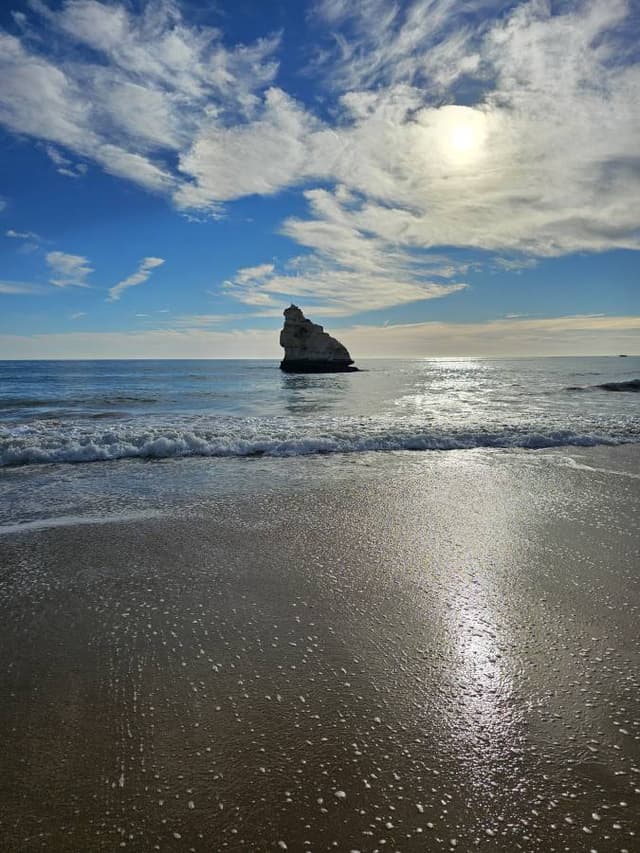 Photo 4 by Sylvia V. (11/5/25)