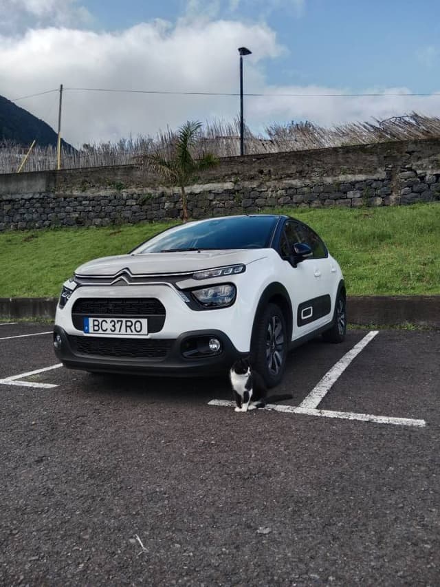 Photo by Tessa M. about renting a Citroën C3 in Funchal (Downtown) (1/18/24)