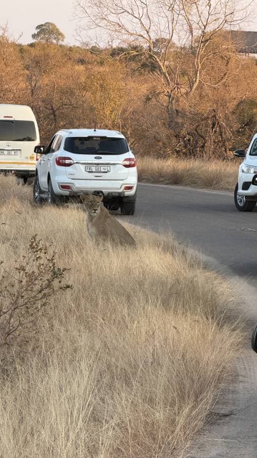 Foto 2 van Patrick P. (9-8-25)