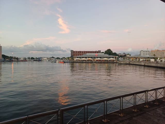 SANGJU L.의 사진 2 (25. 3. 14.)