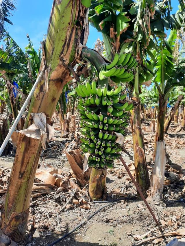 Foto 3 van Johannes M. (11-4-25)