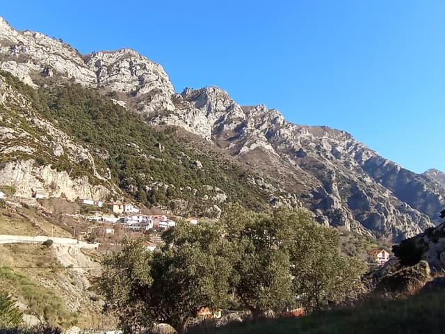 Zdjęcie 1 wykonane przez Adam R. (26.02.24)