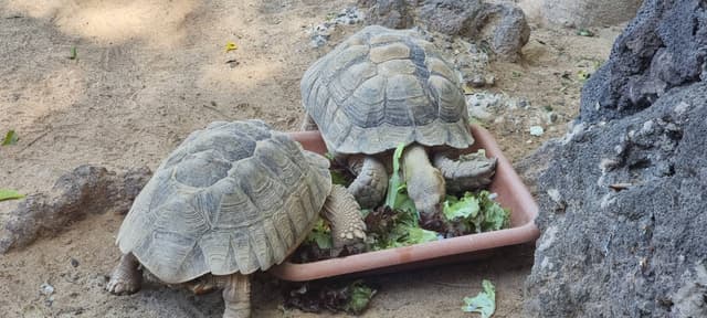 Zdjęcie 2 wykonane przez Andrzej P. (2.03.26)
