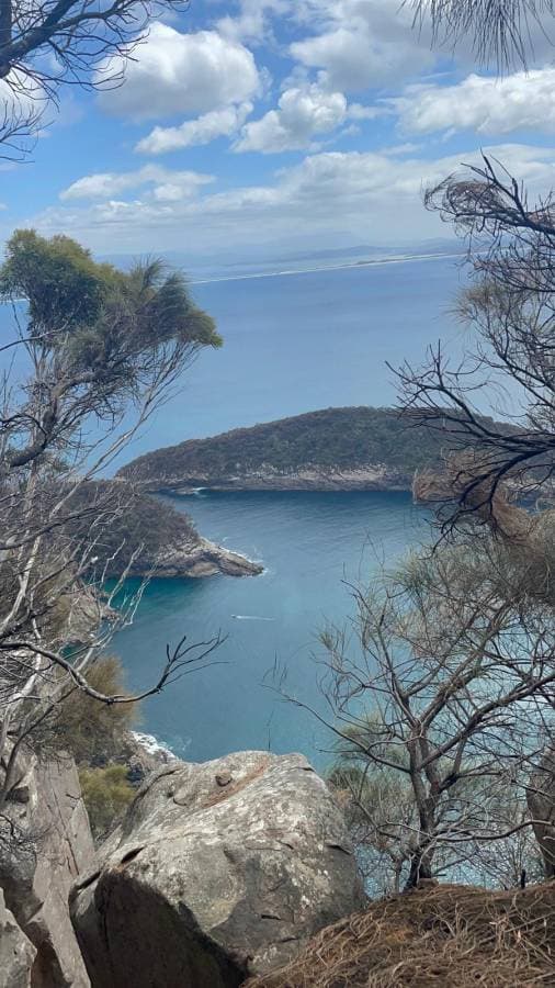 Photo 1 by Murray S. (2/8/26)