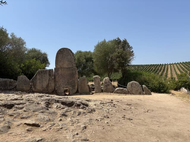 Photo 2 by Franciska J. about renting a Volkswagen Polo on Sardinia (7/7/25)