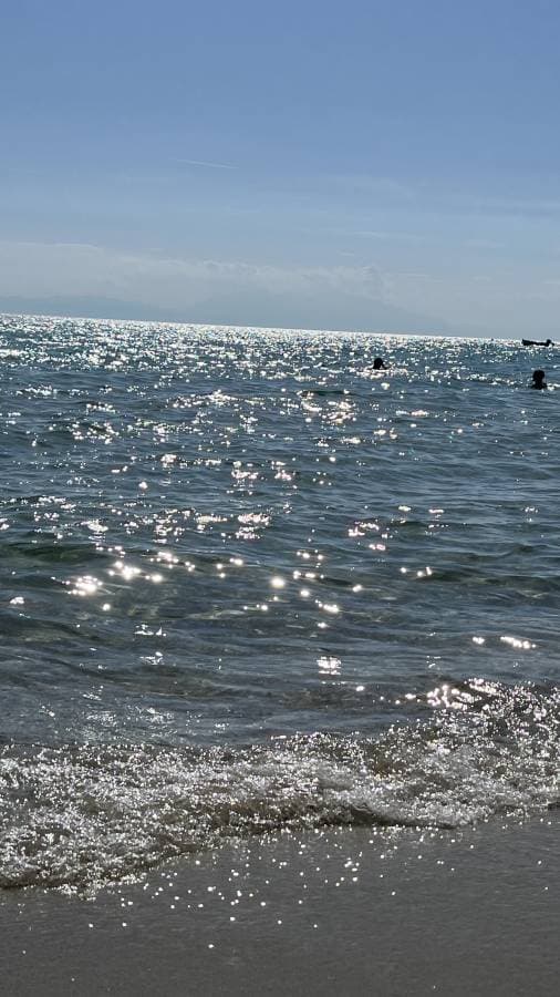 Fotografia 2 realizată de Elena R. (19.06.24)