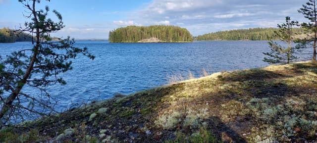 Photo 1 by Paul K. about renting a Toyota Yaris in Helsinki (9/5/23)