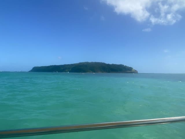 Foto 1 di CARLA P. (09/12/25)