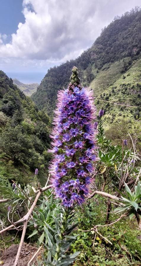 Photo 1 par Ludovic H. sur la location d'un Seat Arona au Portugal (08/05/25)