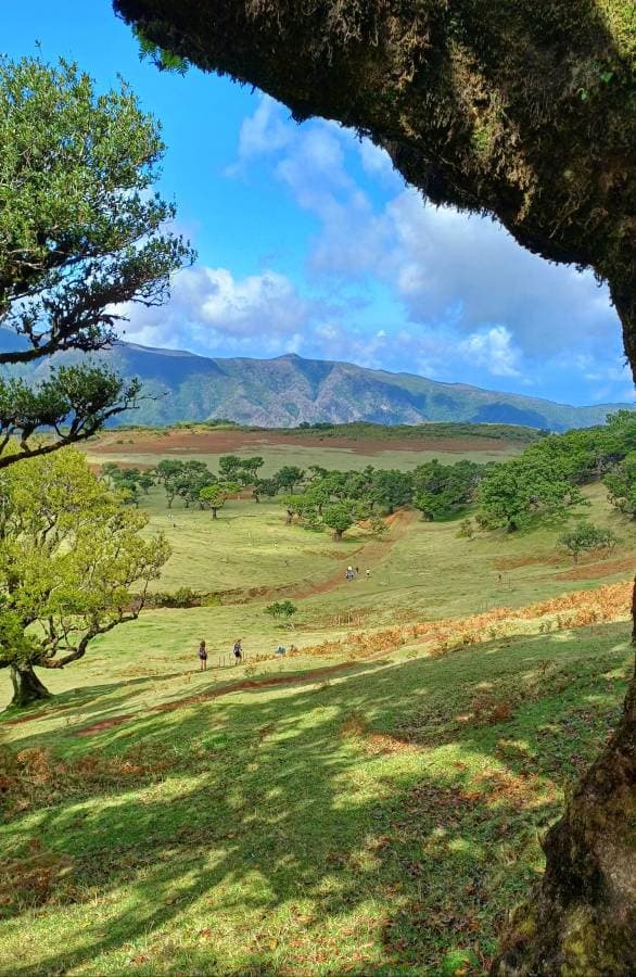 Zdjęcie 1 wykonane przez Przemyslaw G. (24.09.24)