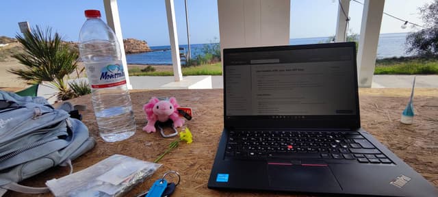 Photo 2 by Ivaylo Y. about renting a Fiat Panda in Spain (12/5/24)